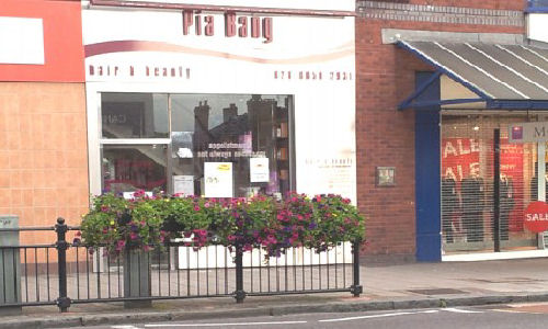 Picture1